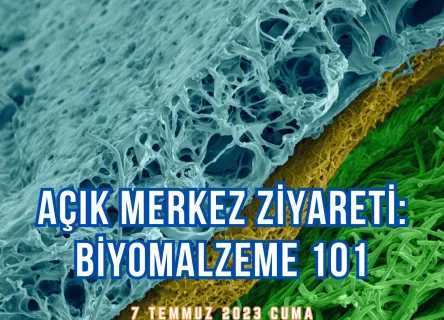 Biyomalzeme 101
