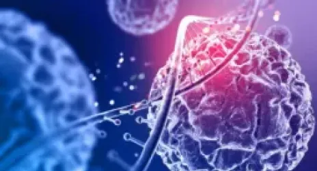 Molecular Biology and Genetics